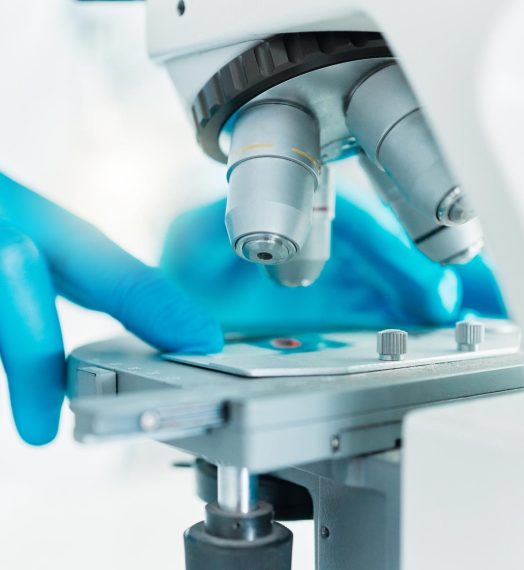 03_Studio-scientifico